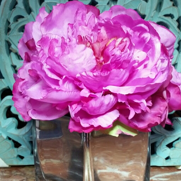 Meet your Posher, Cathy - Picture 1 of 1